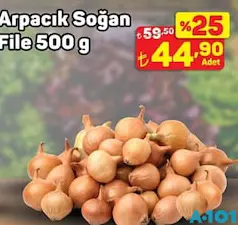 ARPACIK SOĞAN FİLE 500 G fiyat ve kampanya bilgisi